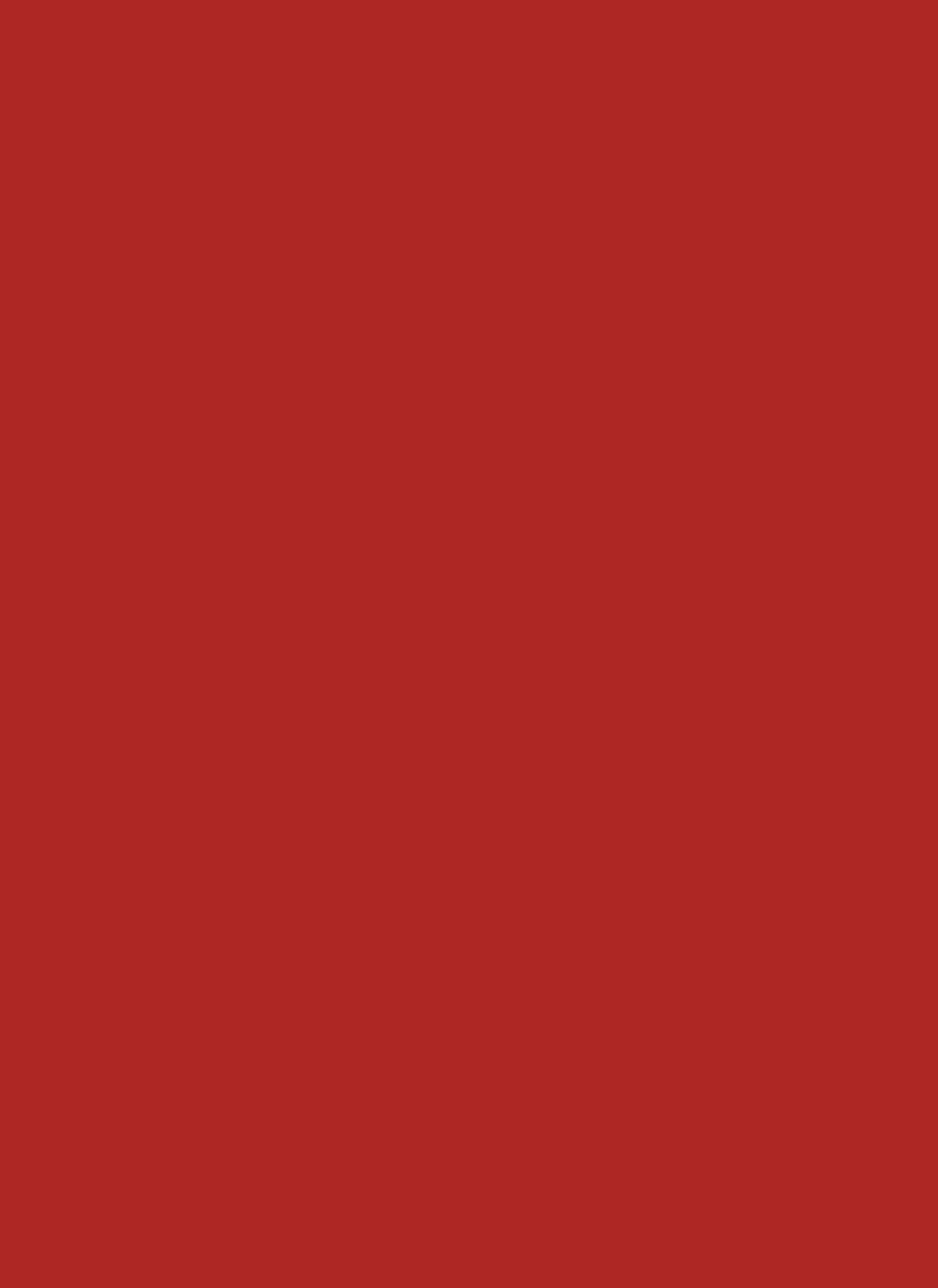Staufen Style Multifunktionspapier A4 50 Blatt 80g/qm rot