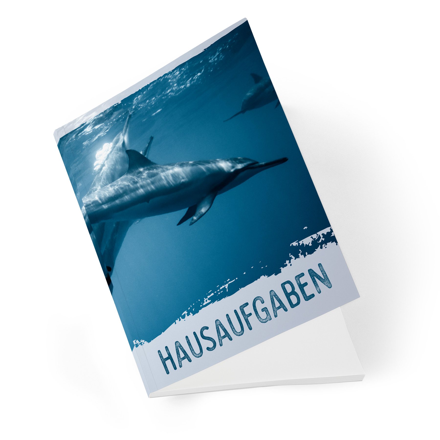 ITENGA Hausaufgabenheft Delfin (Motiv 26) DIN A5, 96 Seiten