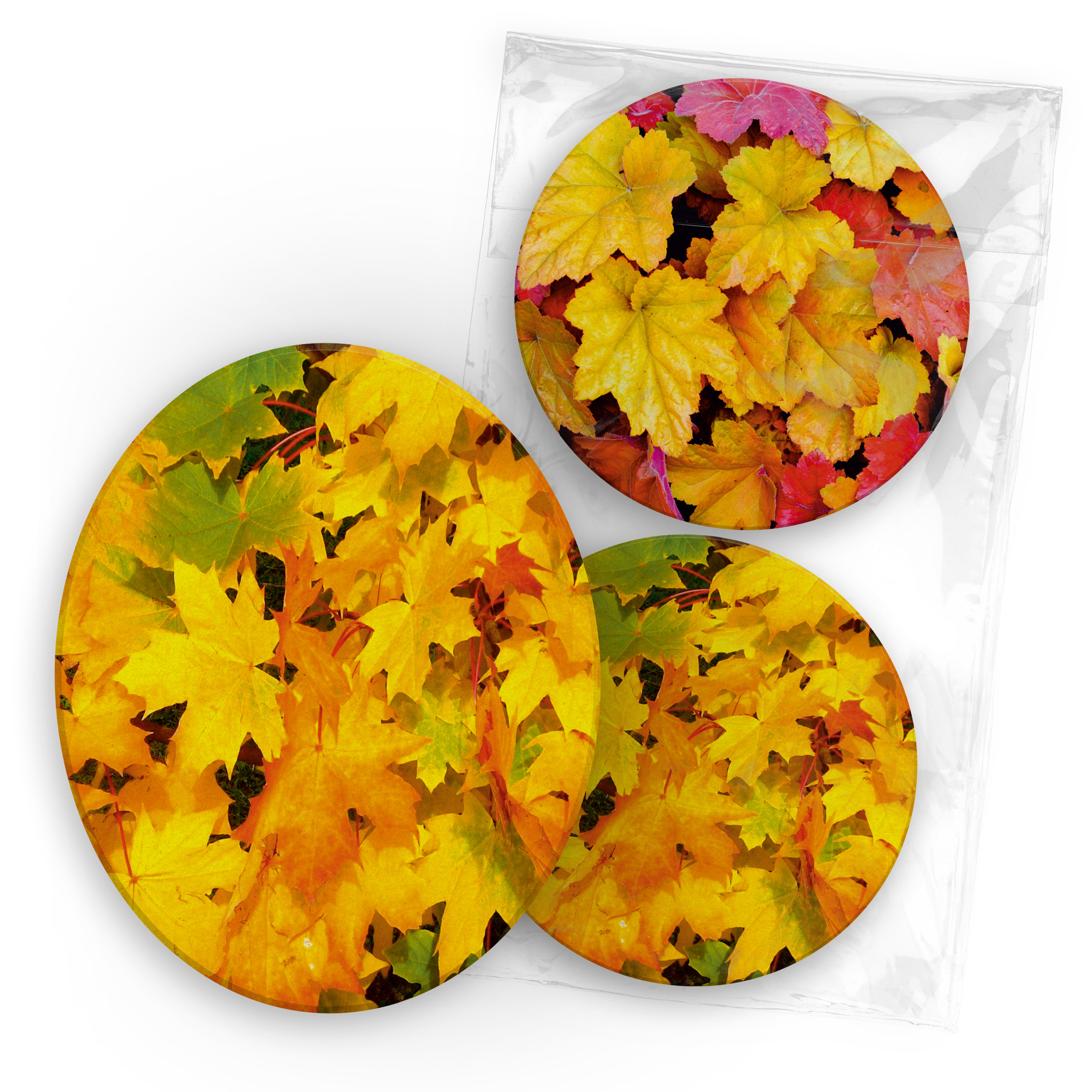 itenga 40x Bierdeckel Herbstbl�tter I Gelb Rot I Unterse...