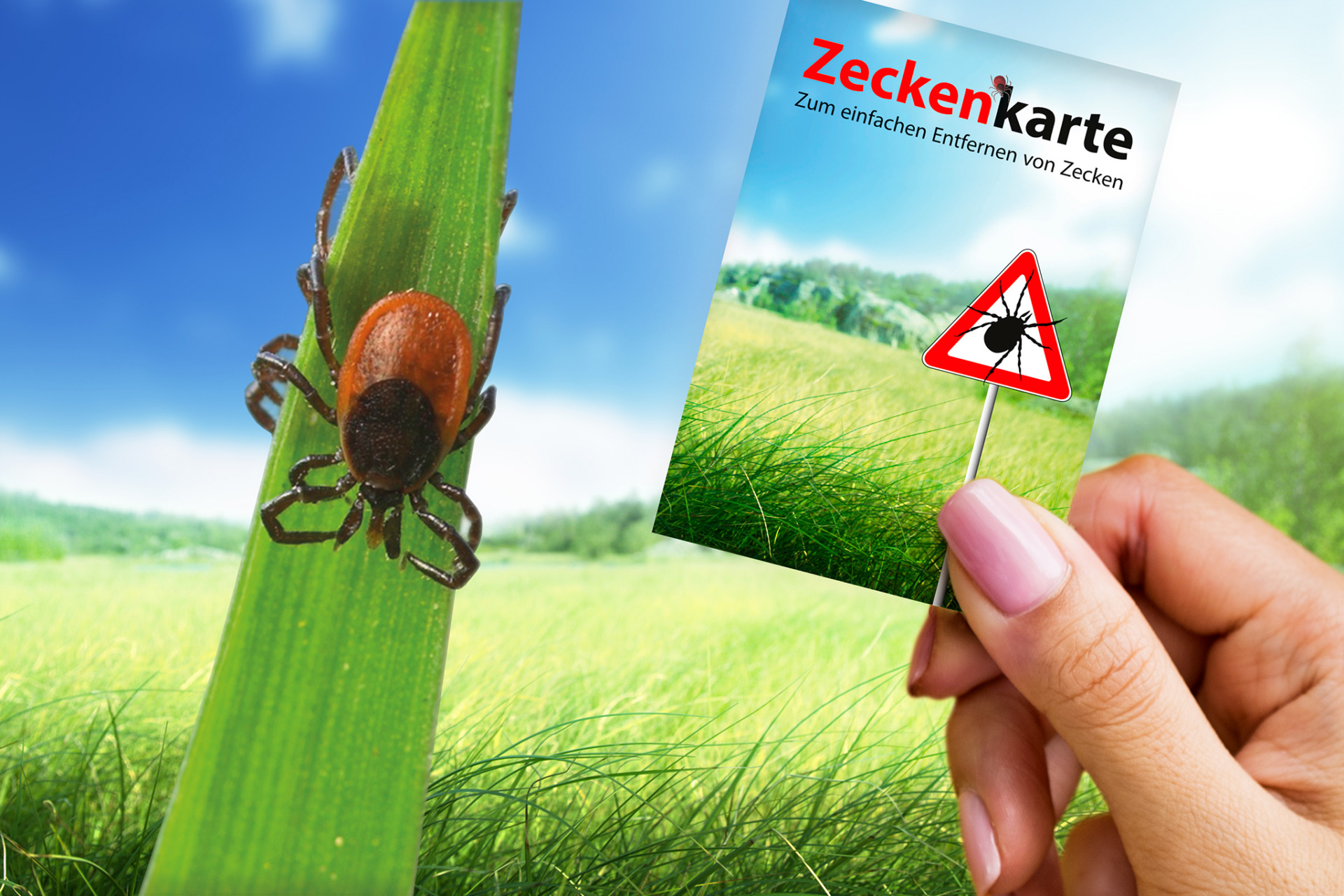 RNK Zeckenkarte "Safecard" mit Lupe, 85 x 54 mm