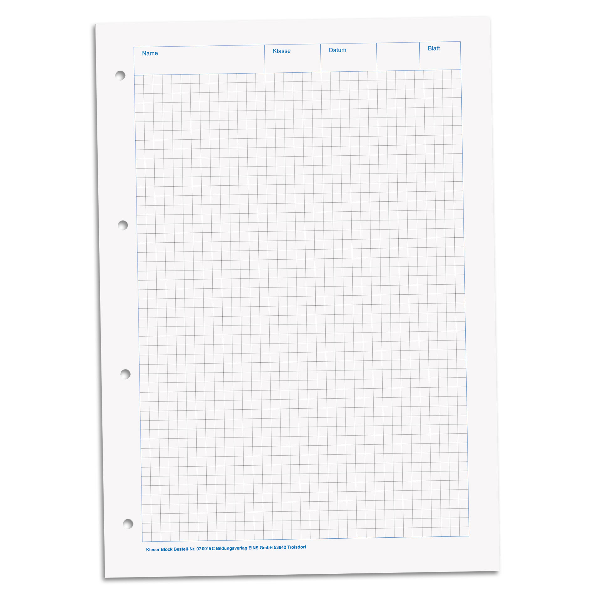 BRUNNEN Kieserblock 15 C Lineatur 22 kariert A4 50 Blatt...