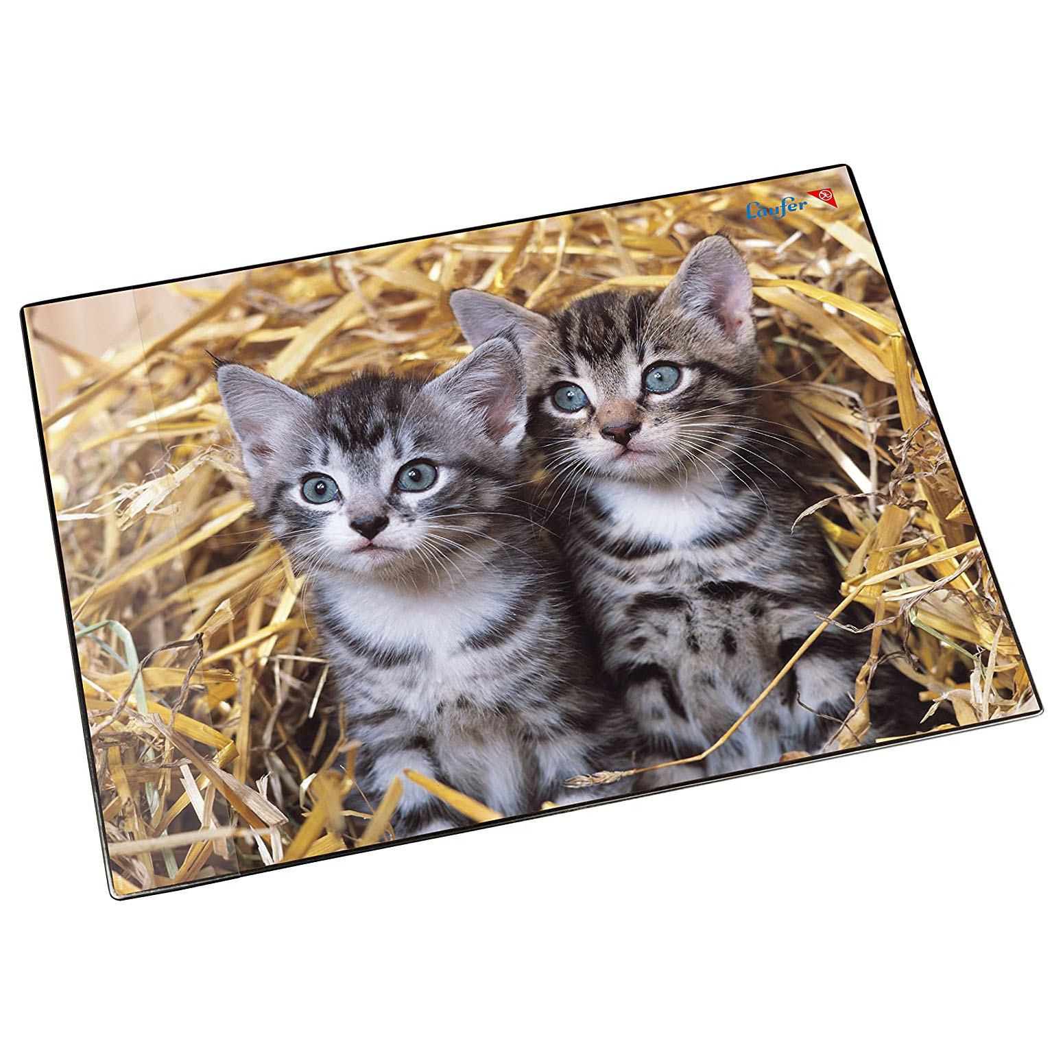 Lufer Schreibunterlage Katzen im Stroh, 400 x 530 mm