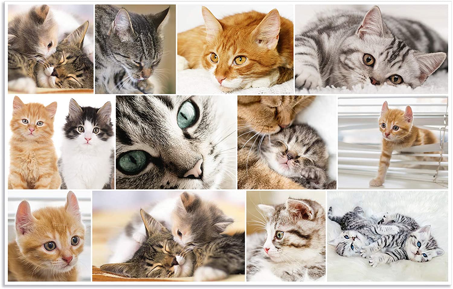 HERMA Schreibunterlage "Katzen", (B)550 x (H)350 mm