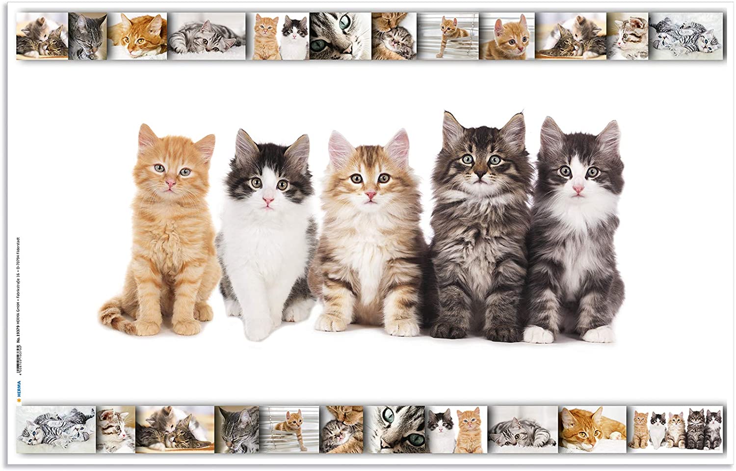 HERMA Schreibunterlage "Katzen", (B)550 x (H)350 mm