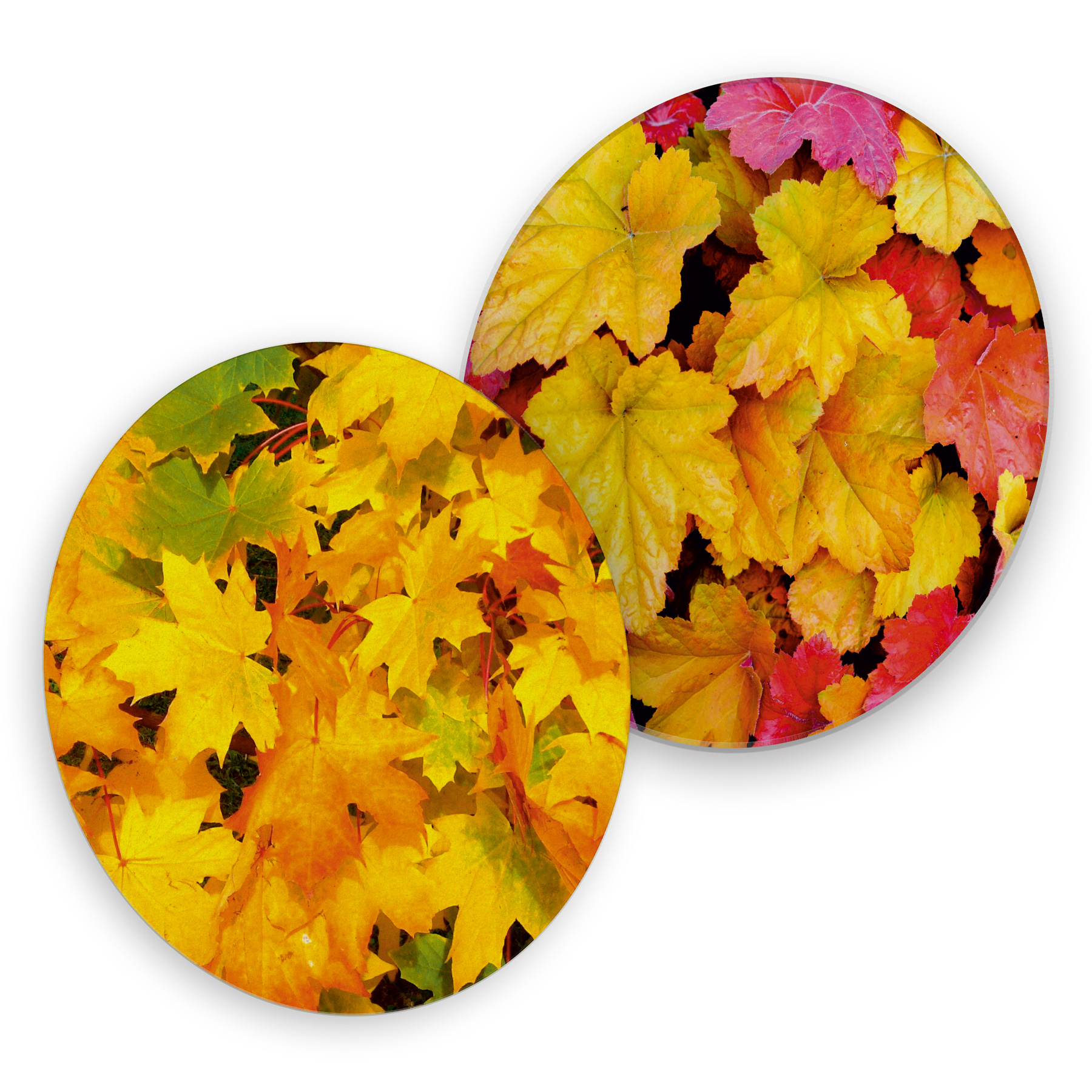 itenga 40x Bierdeckel Herbstbl�tter I Gelb Rot I Unterse...