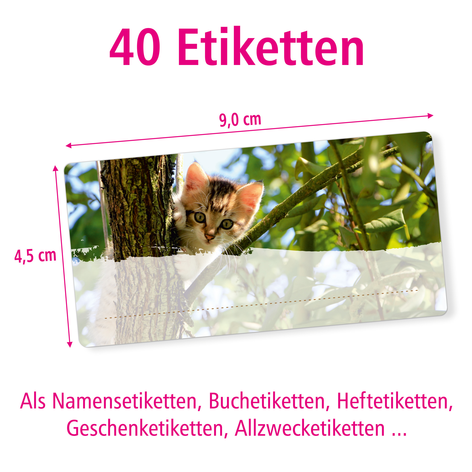 itenga 40x Buchetiketten Katze 9x4,5cm Namensetiketten H...