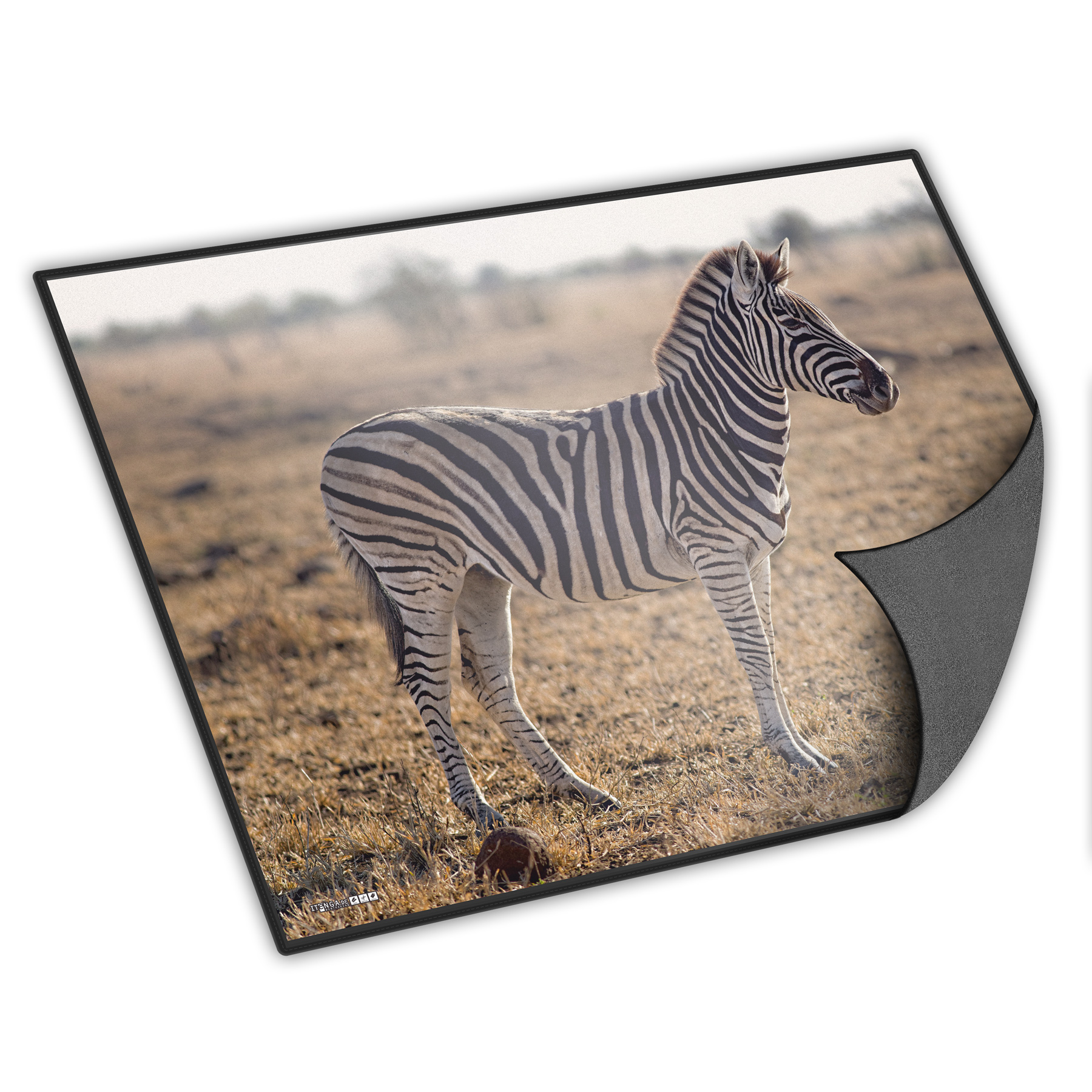 itenga Schreibunterlage V2 Motiv Zebra 400 x 530 mm