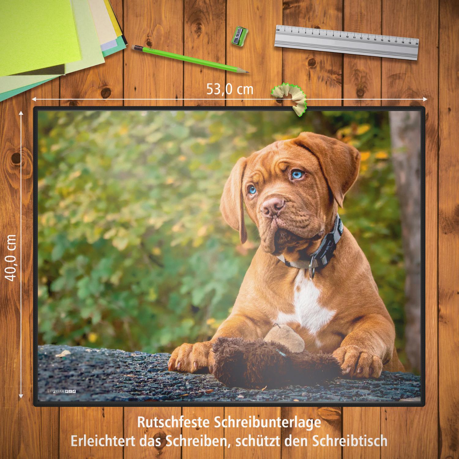 itenga Schreibunterlage V2 Motiv Hund 400 x 530 mm