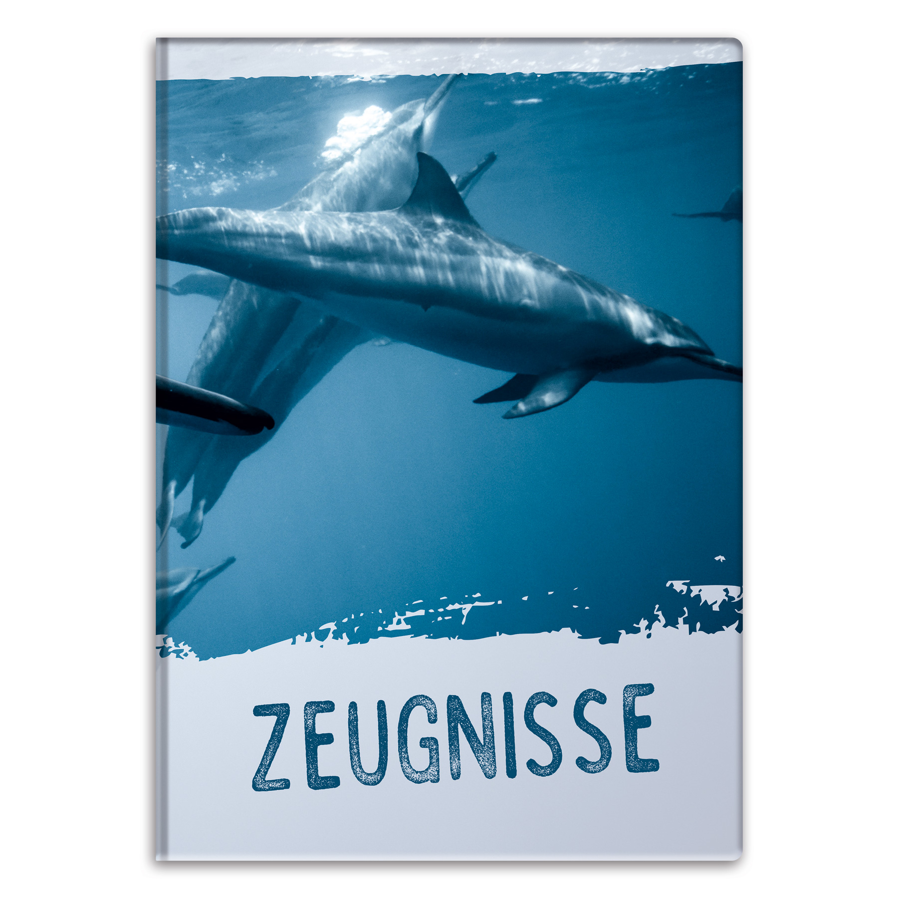 itenga Zeugnismappe Motiv Delfin DIN A4 wattierter Einband