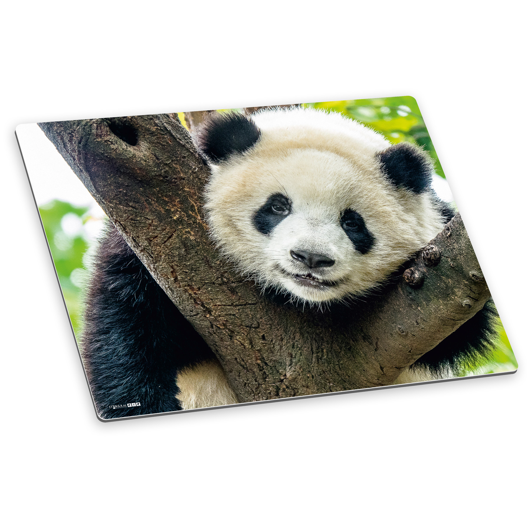 itenga Deluxe Schreibtischunterlage Panda 50x40cm Kunst...