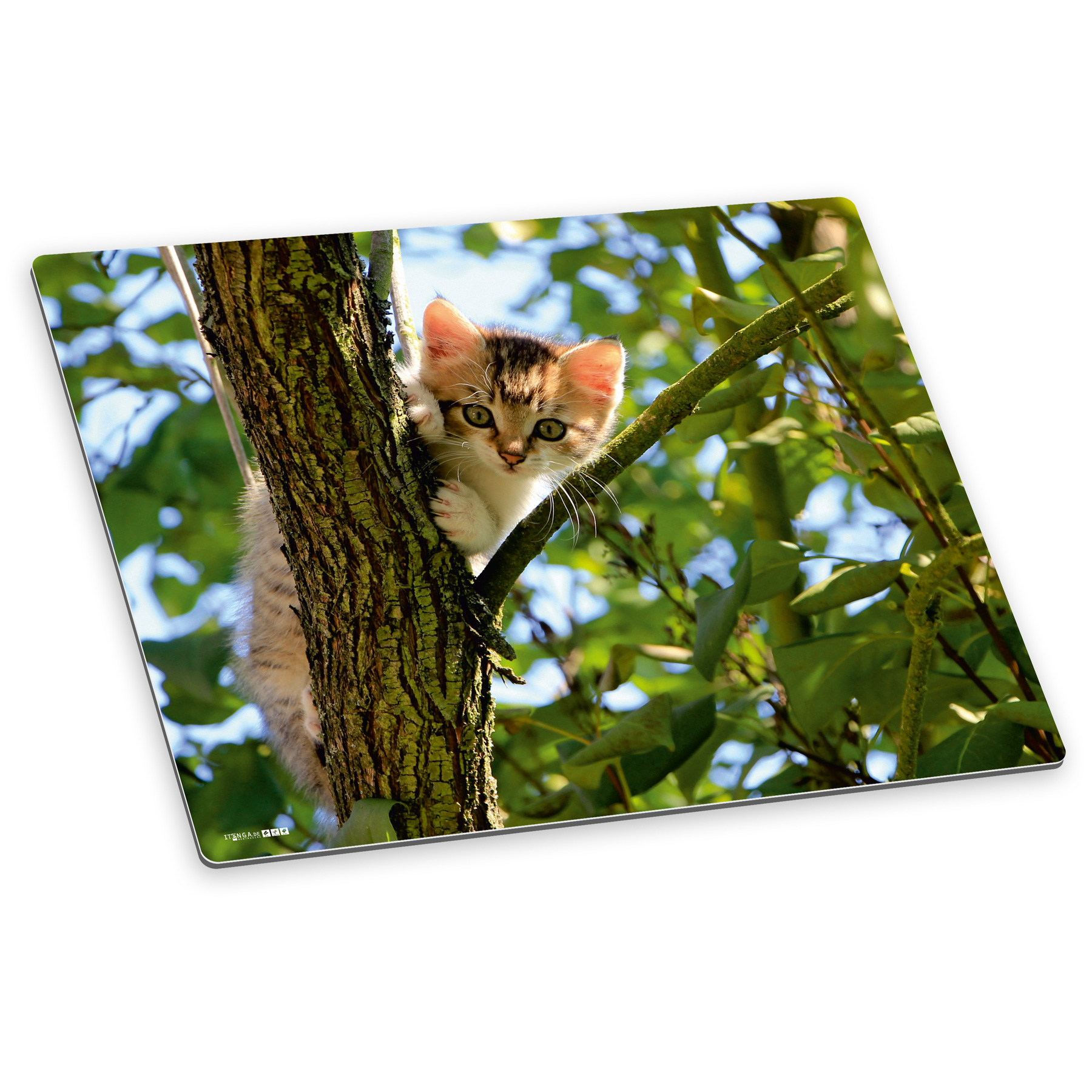 itenga Deluxe Schreibtischunterlage KATZE 50x40cm rutsch...