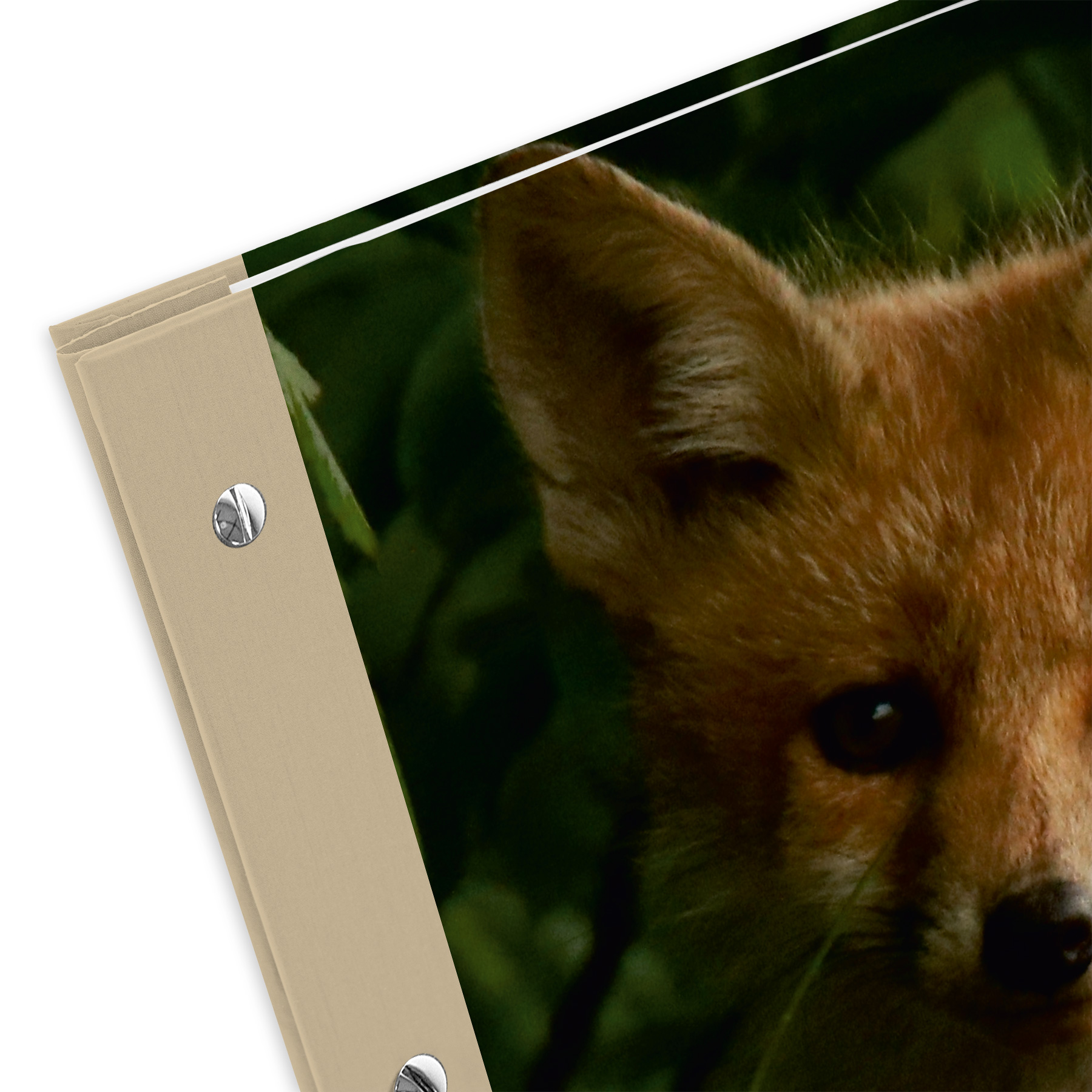 itenga Zeugnismappe A4 mit Schraubverschluss Motiv Fuchs