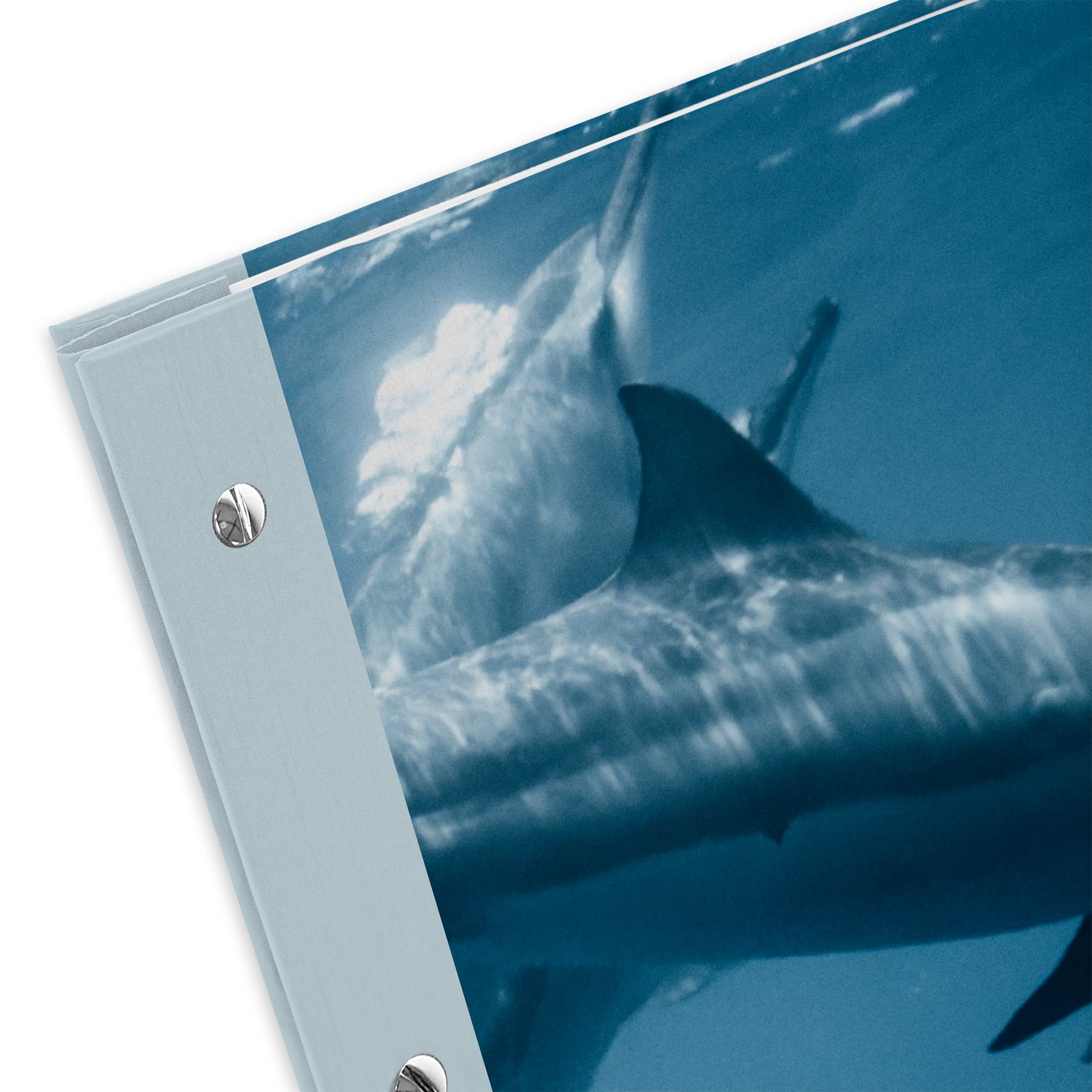 itenga Zeugnismappe A4 mit Schraubverschluss Motiv Delfin