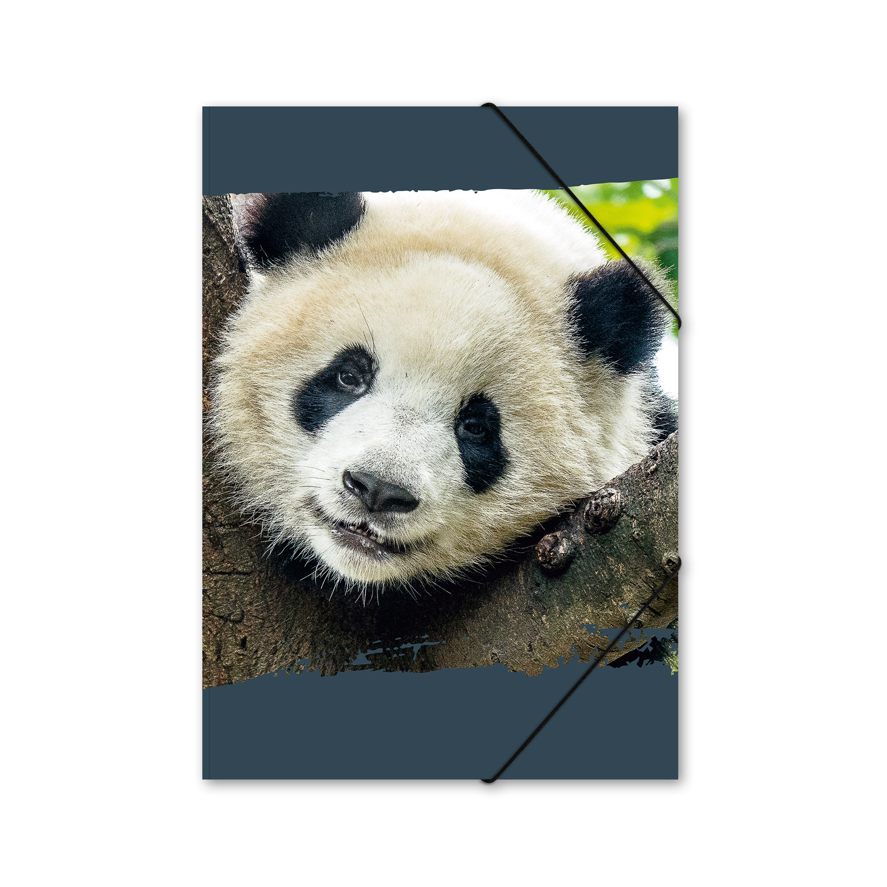 ITENGA Gummizugmappe Sammelmappe A4 Karton Motiv Panda