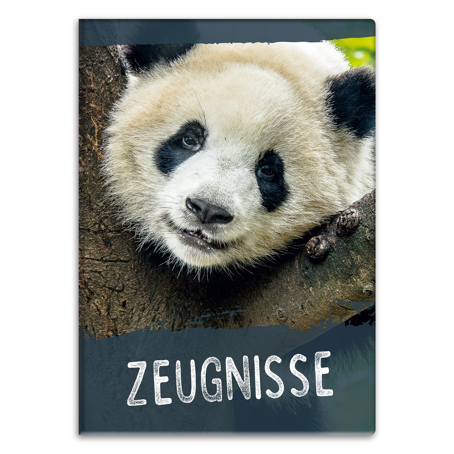 itenga Zeugnismappe Motiv PANDA - DIN A4 wattierter Ein...