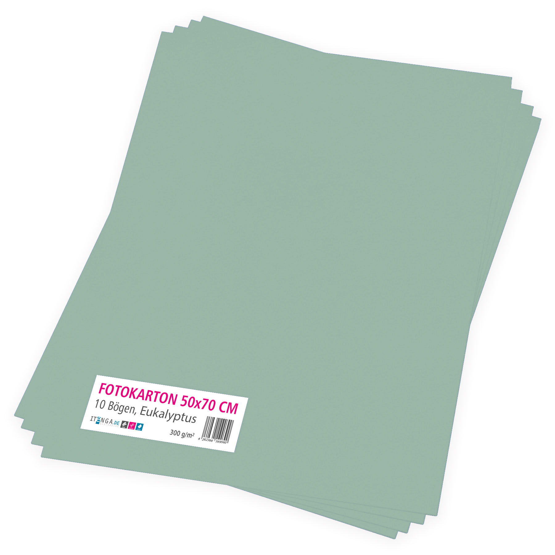itenga Fotokarton Eukalyptus gr�n - 50x70cm 300g/qm 10 B...