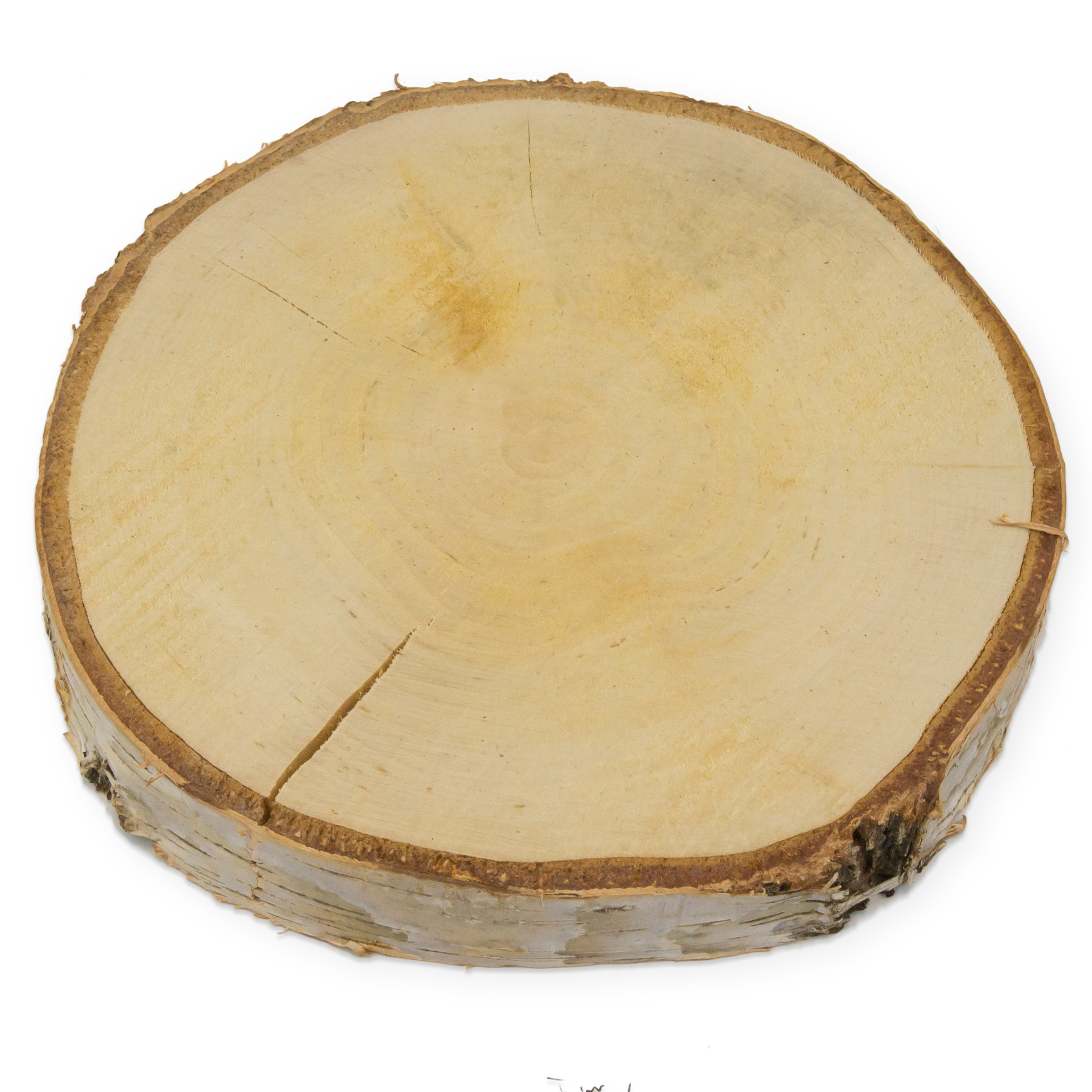 Deko Holzscheibe Birke rund ca. 21-25cm 1St�ck ca 2,5cm ...