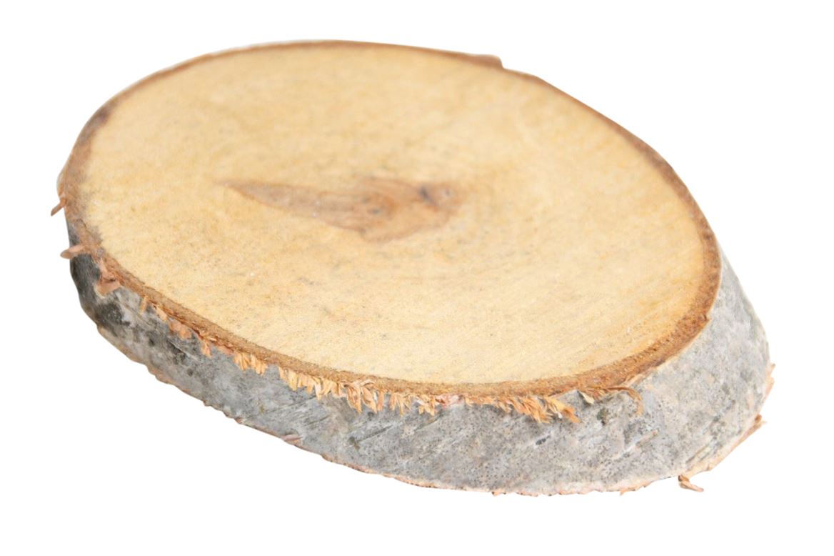 Deko Holzscheibe Birke oval Gr��e S ca.9-11x14-16cm ca....