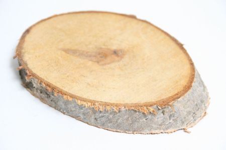 Deko Holzscheibe Birke oval Gr��e M ca.12-15x17-19cm ca...