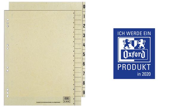 Oxford Trennblätter, 2-seitig bedruckt, chamois, 240x300 mm