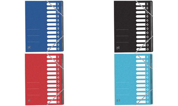 Oxford Ordnungsmappe Top File+, DIN A4, 12 Fächer, hellblau