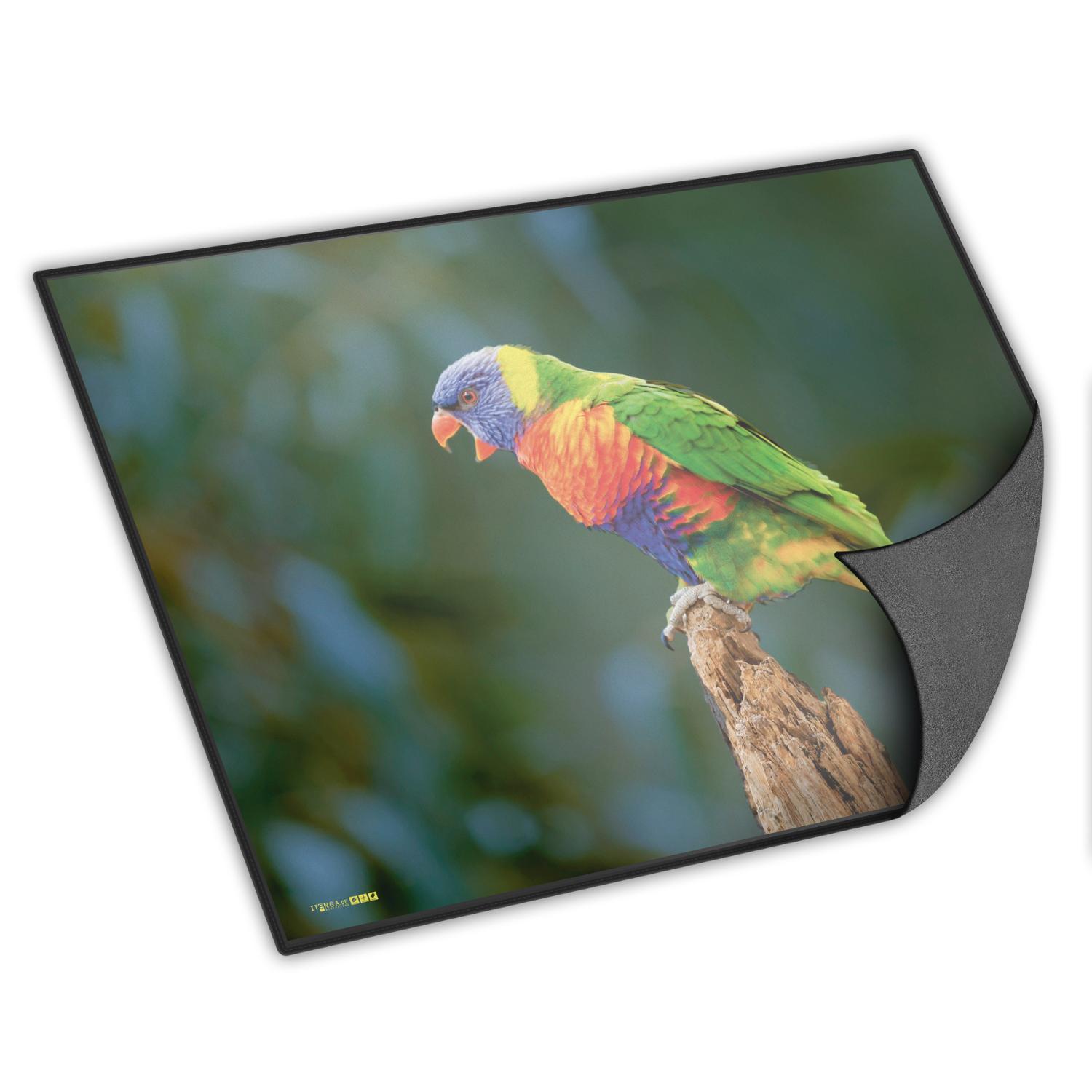 itenga Schreibunterlage Papagei 400 x 530 mm