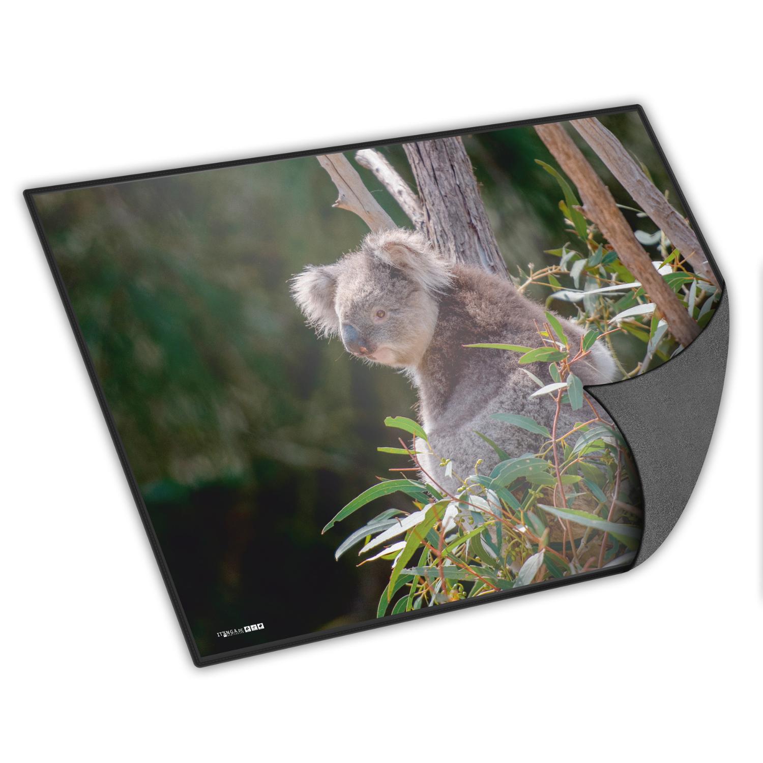 itenga Schreibunterlage V2 Motiv Koala 400 x 530 mm
