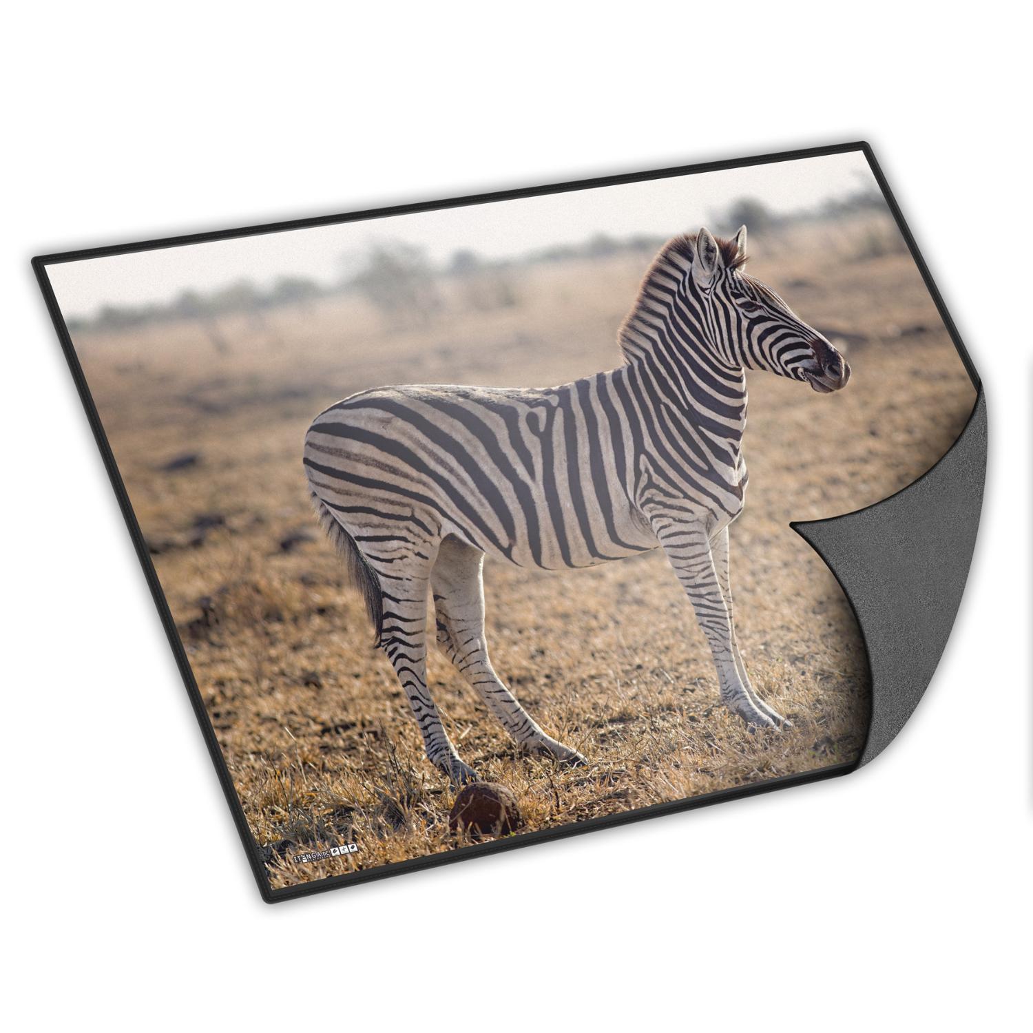 itenga Schreibunterlage V2 Motiv Zebra 400 x 530 mm