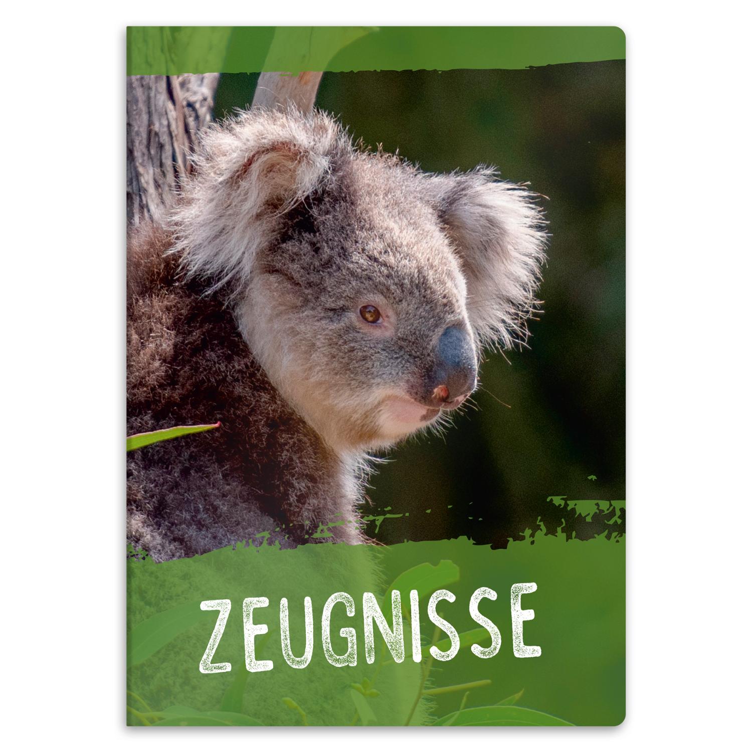 itenga Zeugnismappe A4 Kunststoff Sichtbuch Motiv Koala
