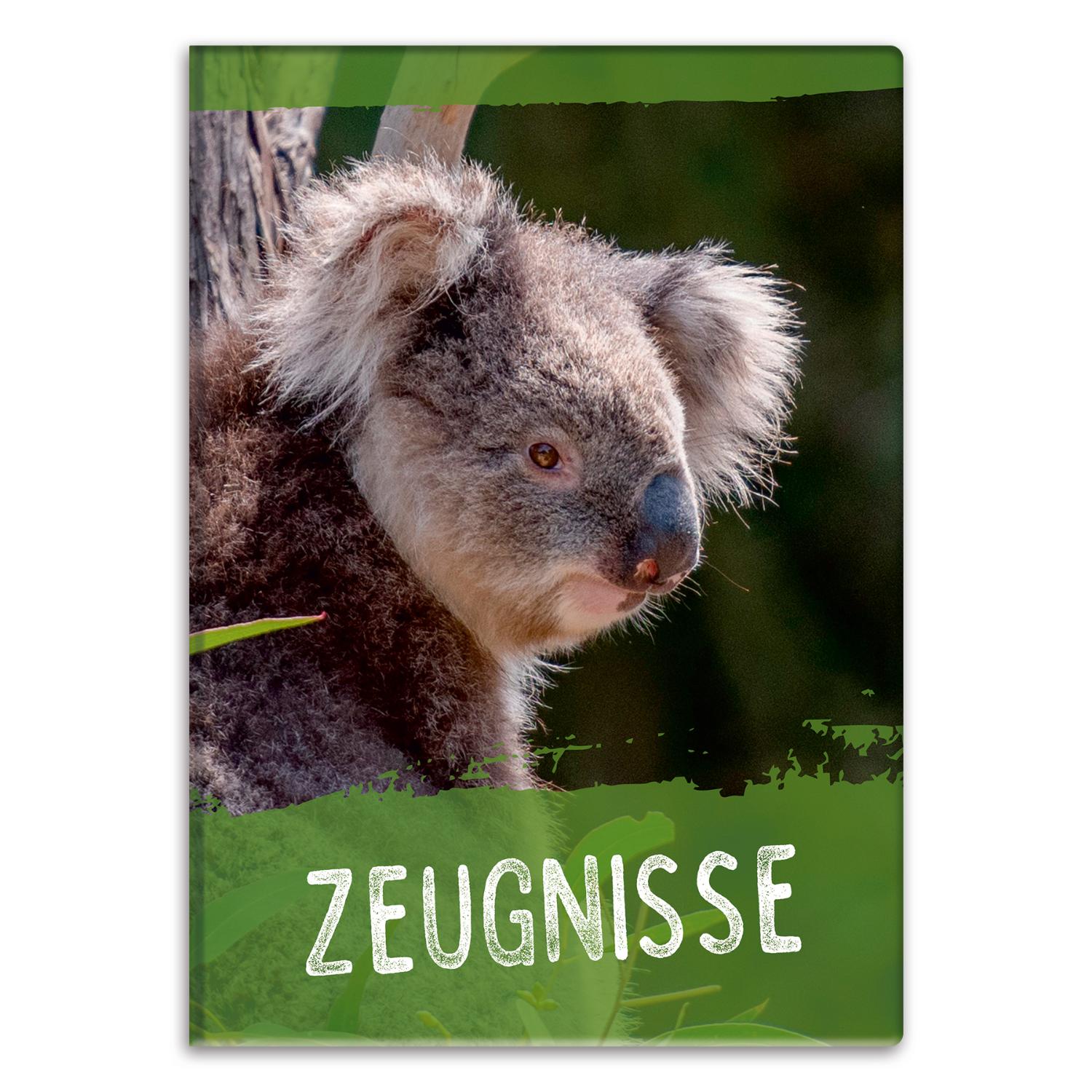 itenga Zeugnismappe Motiv Koala - DIN A4 wattierter Ein...