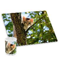 itenga Schreibunterlage Deluxe mit Stiftek�cher Motiv KATZE