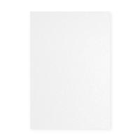 Pollen by Clairefontaine Papier DIN A4, perlmutt-wei�