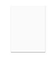 Folia Tonpapier DIN A4  130G Weiss
