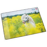 L�ufer Schreibunterlage Pferd im Rapsfeld, 400 x 530 mm