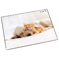 L�ufer Schreibunterlage Hund und Katze, 400 x 530 mm