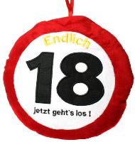 Trostkissen Pl�sch 29x29c mit Jahreszahl 18 Jetzt gehts los