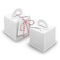 V20 24x W�rfelbox mit Griff wei� + Garn rot + Anh�nger