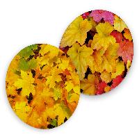 itenga 40x Bierdeckel Herbstbl�tter I Gelb Rot I Unterse...