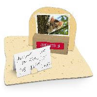 itenga Geldgeschenkverpackung Katze Foto (Motiv 98) mit ...
