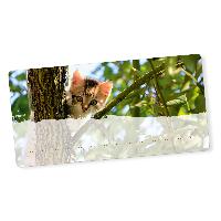 itenga 40x Buchetiketten Katze 9x4,5cm Namensetiketten H...