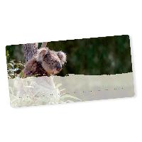 itenga 40x Buchetiketten Koala 9x4,5cm Namensetiketten H...