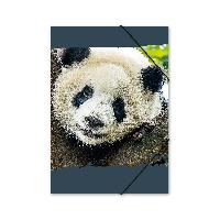 ITENGA Gummizugmappe Sammelmappe A4 Karton Motiv Panda