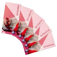 itenga 5x Geschenkgutscheine Weihnachten Santa Weihnacht...